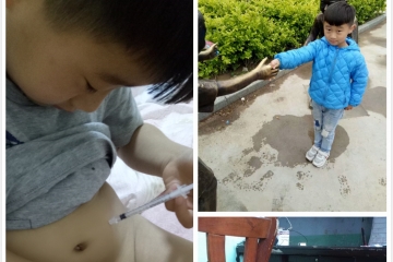 感恩遇到安苏萌