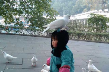 我的未来我做主