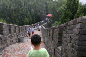 阳光总在风雨后