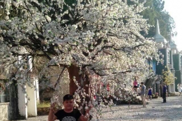 春去春来，晟重生！