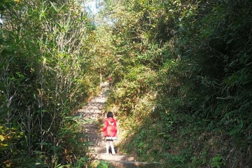 “安”心、“苏”醒、“萌”发